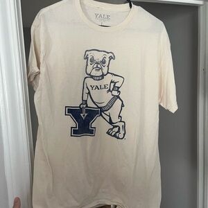 American Eagle Outfitters Cream Tee with Blue Graphic